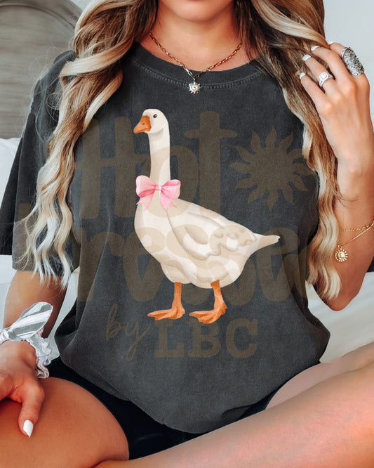 Pretty Goose!